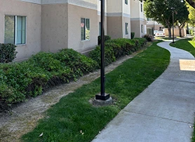 Black straight light pole installed beside a sidewalk