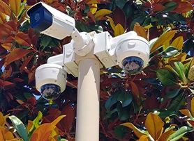 Custom pole supporting multiple outdoor security cameras